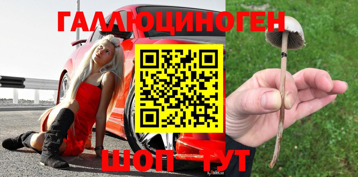 Псилоцибиновые грибы ЛСД  Вход с VPN  Сызрань 