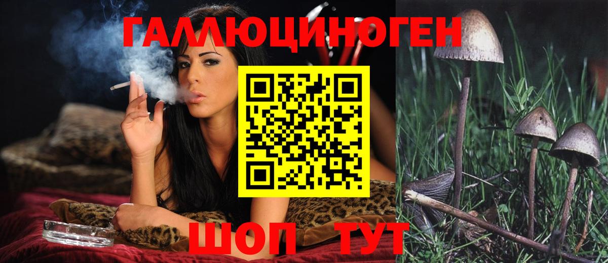 Псилоцибиновые грибы Psilocybe Сызрань